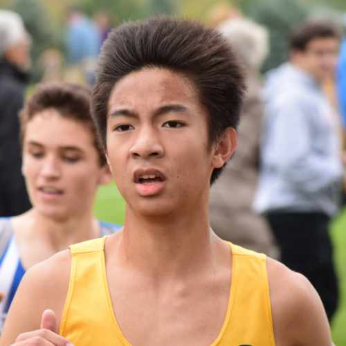 Dominic Chavez